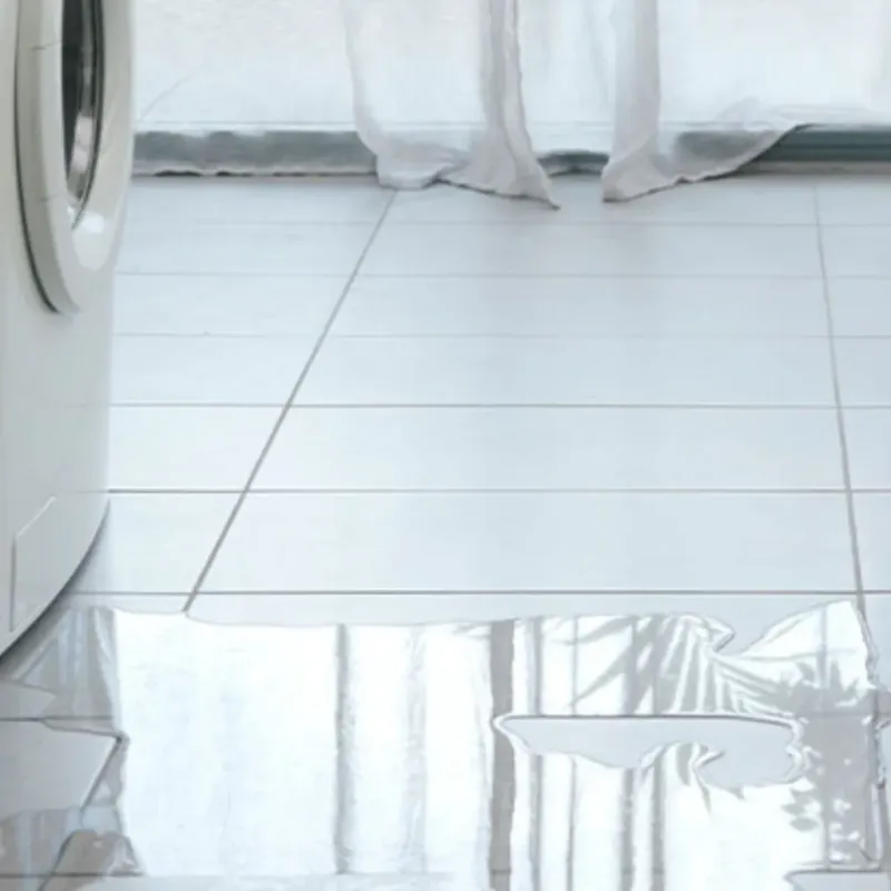 Appliance Leak Cleanup in Woodstock, ME