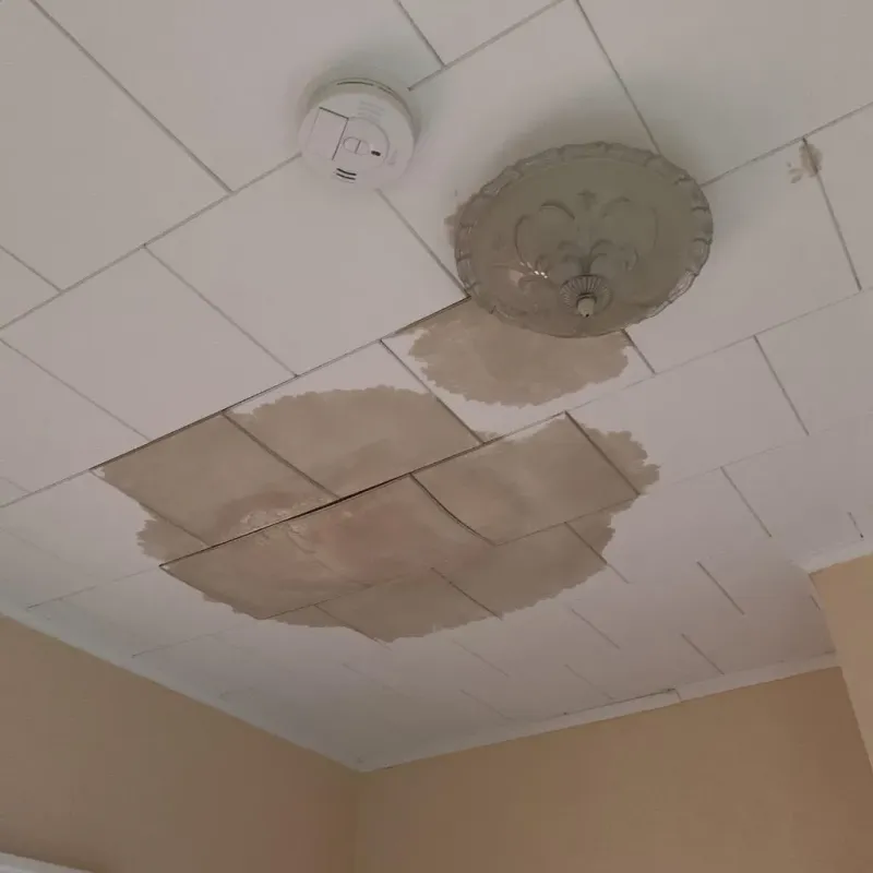 Ceiling Water Damage Repair in Woodstock, ME