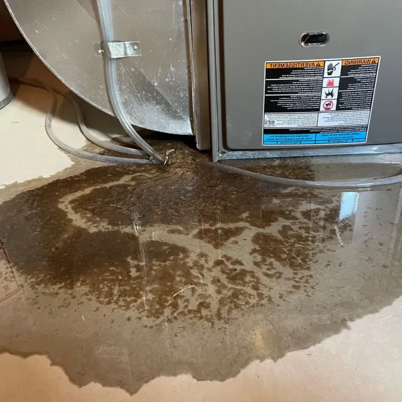 Pipe Burst and Leak Restoration in Woodstock, ME