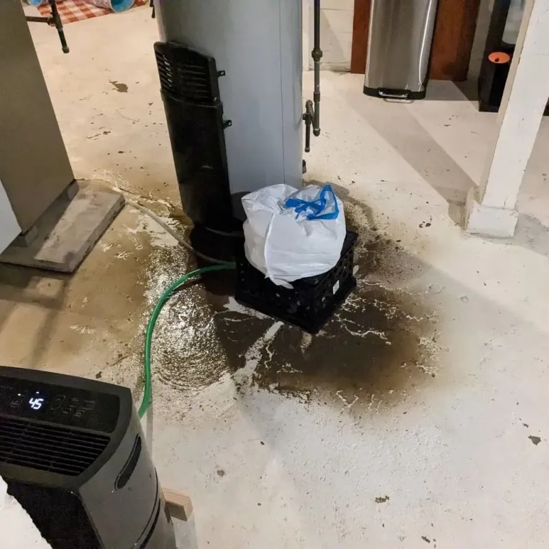 Sewage Backup Cleanup Service in Woodstock, ME